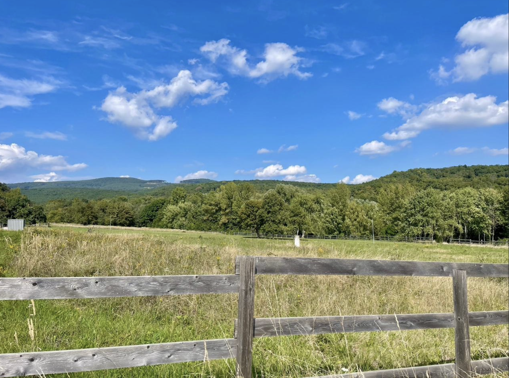 Štýlové bývanie pri jazere a lese – 4-izbový dom so záhradou