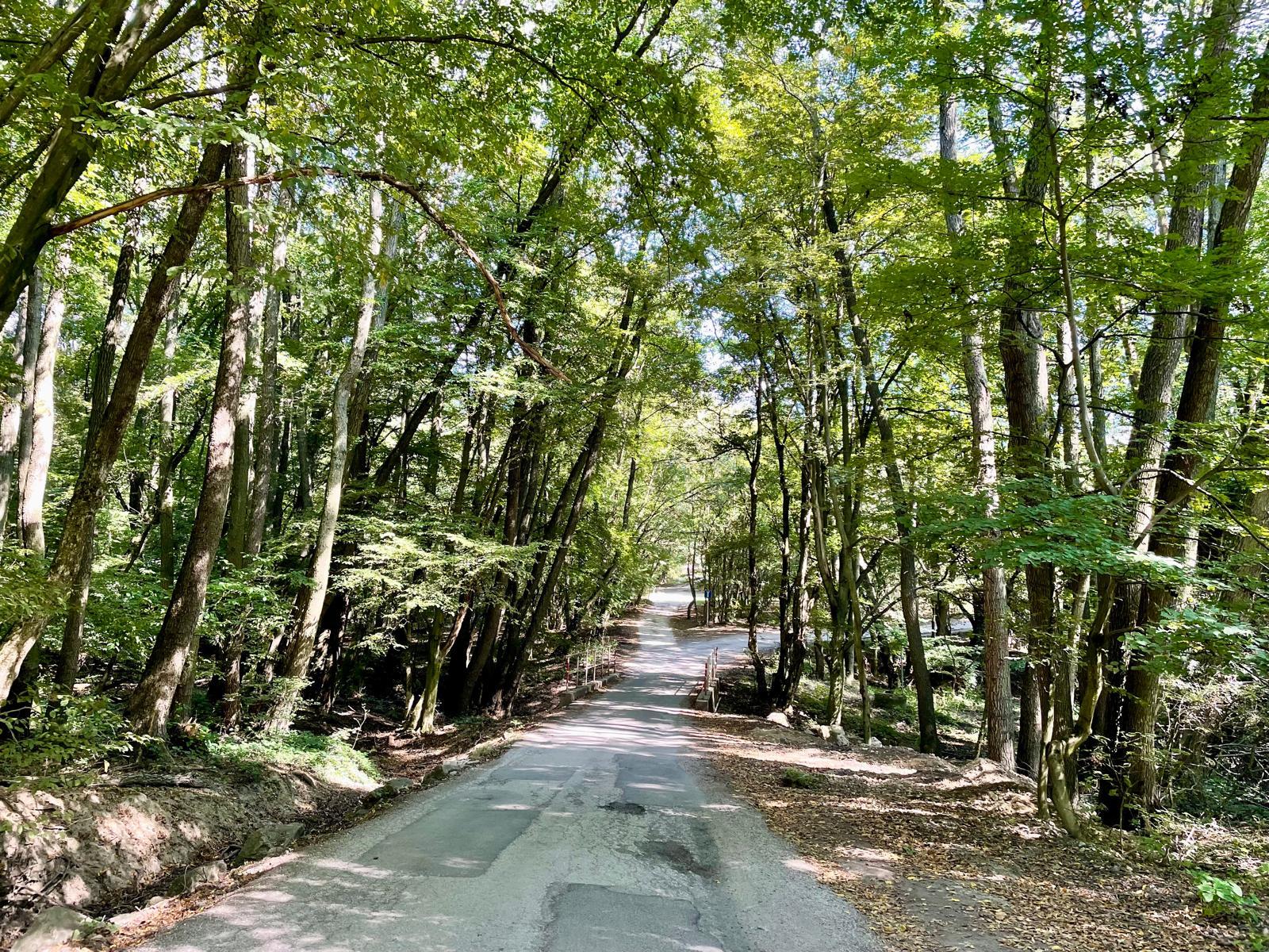 Štýlové bývanie pri jazere a lese – 4-izbový dom so záhradou