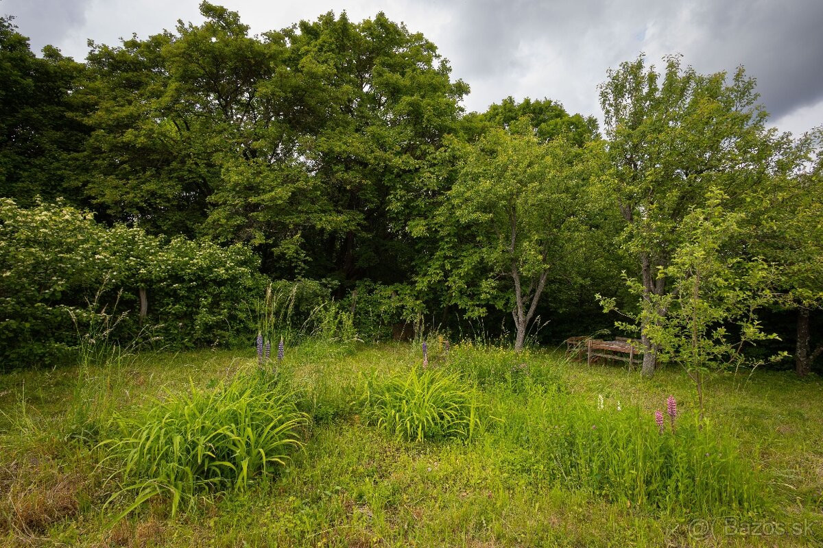 ZÁHRADA POD ŽIBRICOU – 385 m² | STUDŇA | ELEKTRINA | 10 MIN. OD NITRY