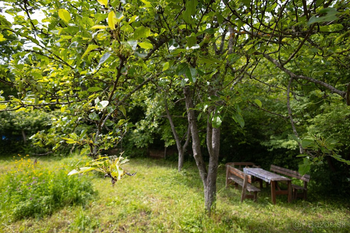 ZÁHRADA POD ŽIBRICOU – 385 m² | STUDŇA | ELEKTRINA | 10 MIN. OD NITRY