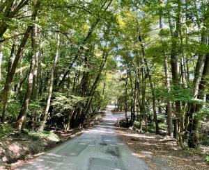 Štýlové bývanie pri jazere a lese – 4-izbový dom so záhradou