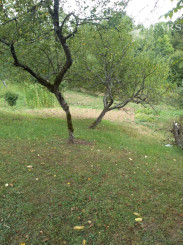 RODINNÝ DOM SO ZÁHRADOU V ČUKALOVCIACH – 1 658 m² | POKOJ A PRÍRODA