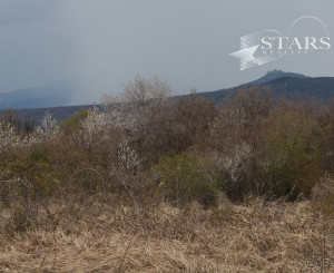 ZÁHRADA POD ŽIBRICOU – 385 m² | STUDŇA | ELEKTRINA | 10 MIN. OD NITRY
