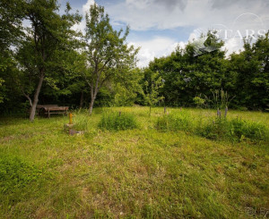 ZÁHRADA POD ŽIBRICOU – 385 m² | STUDŇA | ELEKTRINA | 10 MIN. OD NITRY