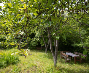 ZÁHRADA POD ŽIBRICOU – 385 m² | STUDŇA | ELEKTRINA | 10 MIN. OD NITRY