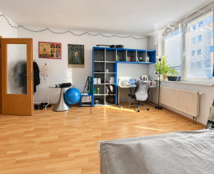 36 m² v Karlovej Vsi – bývanie, investícia alebo vlastný priestor