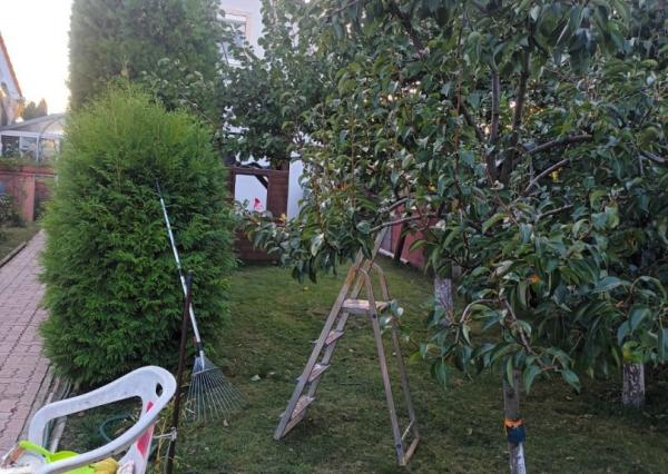 Predaj 3-izbového rodinného domu vo Viničnom pri Pezinku