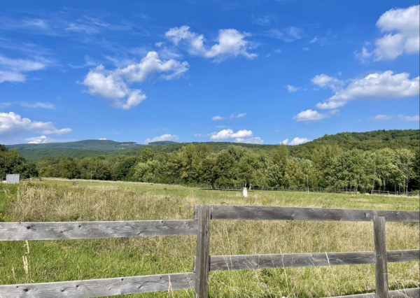Štýlové bývanie pri jazere a lese – 4-izbový dom so záhradou