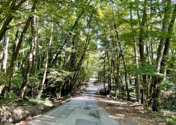 Oáza pokoja pri Kučišdorfskej doline -ZNÍŽENÁ CENA