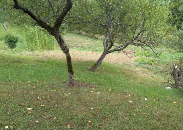 RODINNÝ DOM SO ZÁHRADOU V ČUKALOVCIACH – 1 658 m² | POKOJ A PRÍRODA