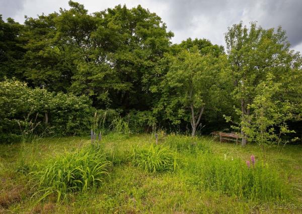 ZÁHRADA POD ŽIBRICOU – 385 m² | STUDŇA | ELEKTRINA | 10 MIN. OD NITRY