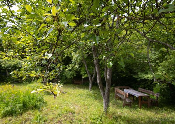 ZÁHRADA POD ŽIBRICOU – 385 m² | STUDŇA | ELEKTRINA | 10 MIN. OD NITRY